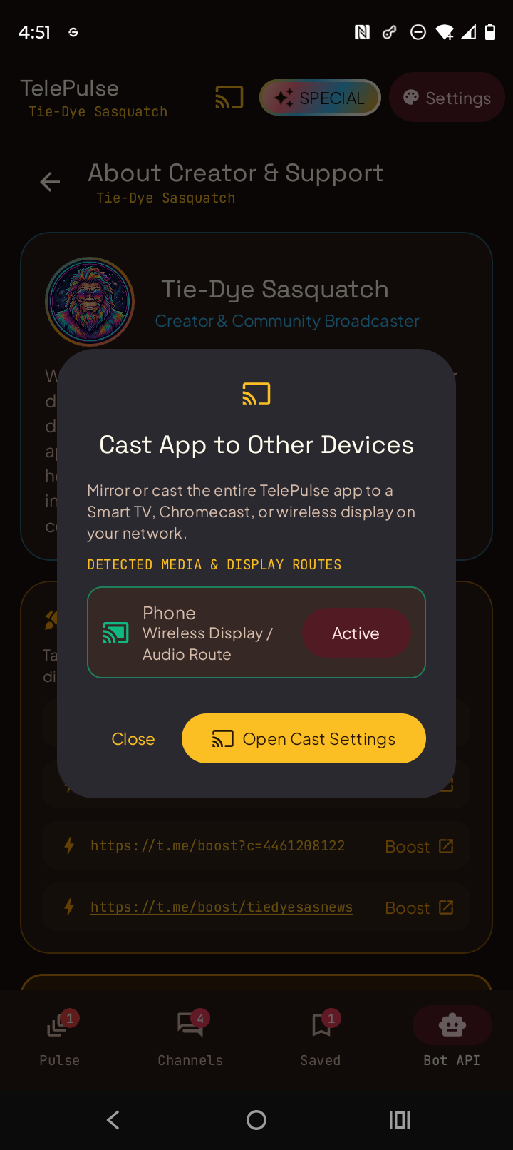 Cast App to Other Devices